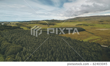 Pine forest at green valley aerial. Nobody nature landscape. Rural farmlands at road. Greenery trees Pine forest at green valley aerial. Nobody nature landscape. Rural farmlands at road. Greenery trees 82403045