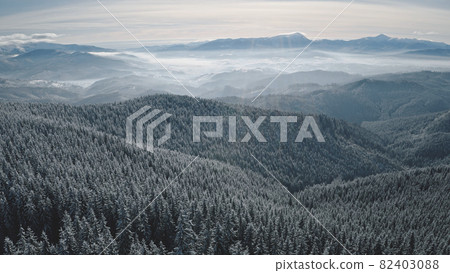 Fir forest at sun snow mountain aerial. Winter nobody nature landscape. Pine trees at conifer wood Fir forest at sun snow mountain aerial. Winter nobody nature landscape. Pine trees at conifer wood 82403088