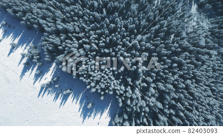 Top down snow fir forest at sun mountain aerial. Winter nobody nature landscape. Spruce, pine trees 82403093