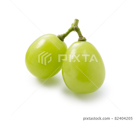 閃耀馬斯喀特 82404205