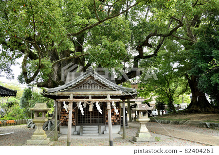 Fujishiro Shrine (Babysitting Shrine) [Kainan City, Wakayama Prefecture] 82404261