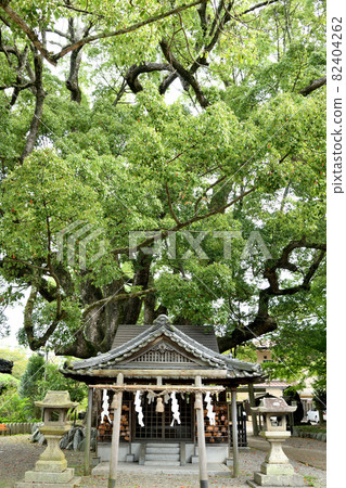 Fujishiro Shrine (Babysitting Shrine) [Kainan City, Wakayama Prefecture] 82404262