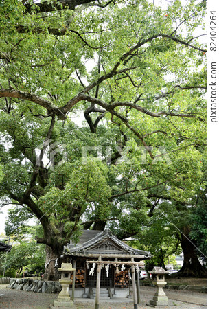 藤城神社（保姆神社）[和歌山縣海南市] 82404264