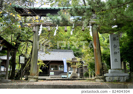 Fujishiro Shrine [Kainan City, Wakayama Prefecture] 82404304