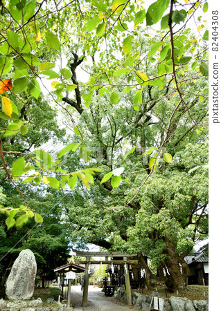 藤城神社【和歌山縣海南市】 藤城神社【和歌山縣海南市】 82404308
