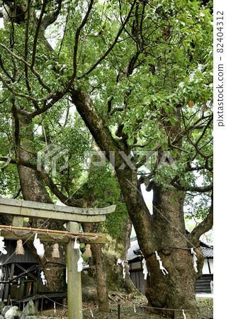 藤城神社【和歌山縣海南市】 82404312