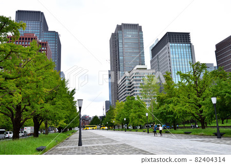 Tokyo Station seen from the Marunouchi Exit promenade 82404314