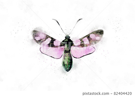 All kinds of beautiful watercolor butterfly illustrations All kinds of beautiful watercolor butterfly illustrations 82404420