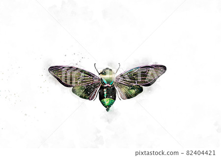 All kinds of beautiful watercolor butterfly illustrations 82404421