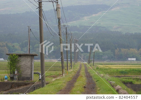 Country Road Country Road 82404557