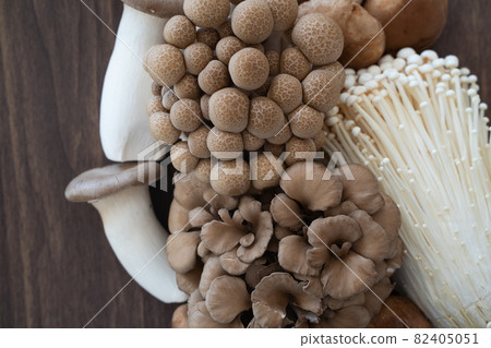 Image of mushrooms Image of mushrooms 82405051