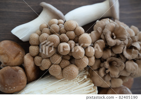 Image of mushrooms Image of mushrooms 82405190