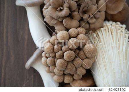 蘑菇的形象 82405192