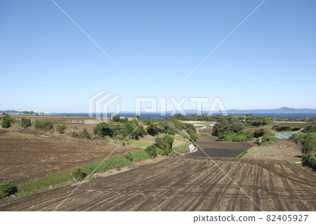三浦半島的田野和有海洋的丘陵 82405927