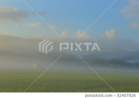 Morning fog Morning fog 82407926