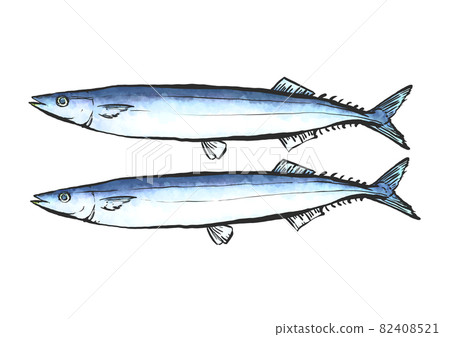Hand-painted brush painting style illustration of saury 82408521