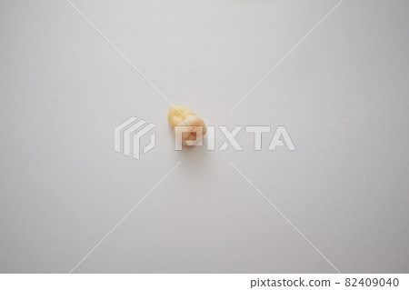 拔智齒 拔智齒 82409040
