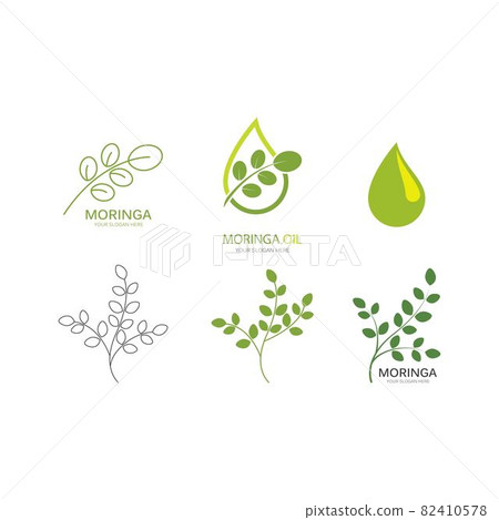 Moringa leaf illustration Moringa leaf illustration 82410578