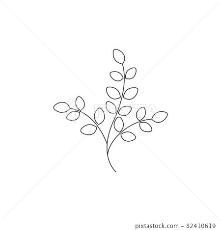 Moringa leaf illustration Moringa leaf illustration 82410619