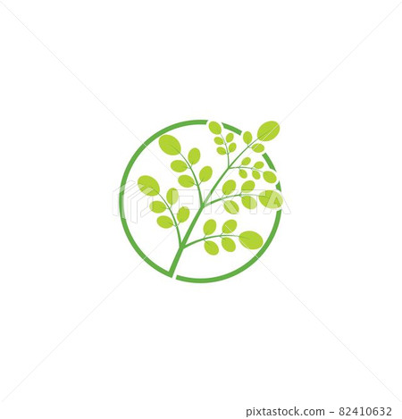 Moringa leaf illustration Moringa leaf illustration 82410632
