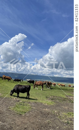 Aso Panorama Line 82411333