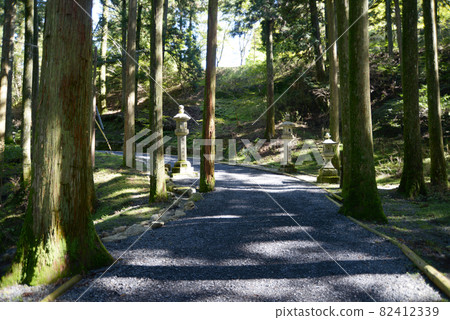 Hieizan Enryakuji Temple, the approach to the west and east towers, Sakamoto, Otsu City, Shiga Prefecture 82412339