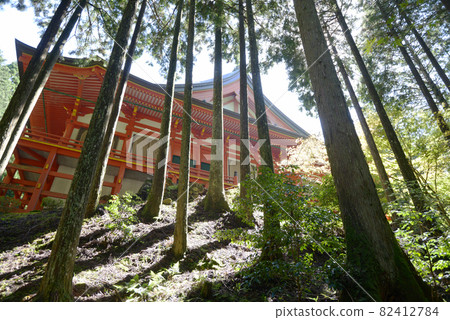 Hieizan Enryakuji Temple Yokogawa Nakado Sakamoto, Otsu City, Shiga Prefecture 82412784