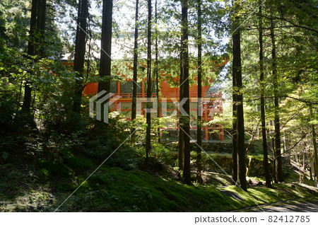 Hieizan Enryakuji Temple Yokogawa Nakado Sakamoto, Otsu City, Shiga Prefecture 82412785