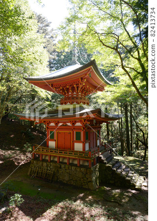 Hieizan Enryakuji Temple Yokogawa Nemoto Nyohotou Sakamoto, Otsu City, Shiga Prefecture Hieizan Enryakuji Temple Yokogawa Nemoto Nyohotou Sakamoto, Otsu City, Shiga Prefecture 82413734