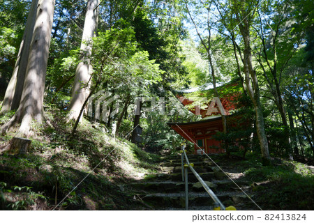 Hieizan Enryakuji Temple West Pagoda Nemoto Nyoho Pagoda Sakamoto, Otsu City, Shiga Prefecture Hieizan Enryakuji Temple West Pagoda Nemoto Nyoho Pagoda Sakamoto, Otsu City, Shiga Prefecture 82413824