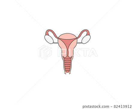 Female, uterus, womb icon. Vector illustration. Flat design. 82413912