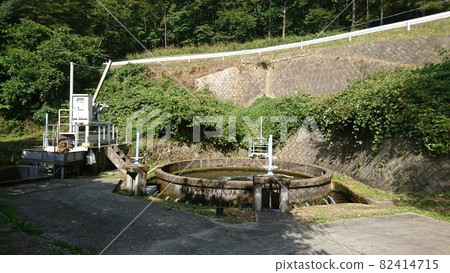 謊言循環分流 82414715