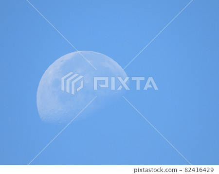 Moon Moon 82416429