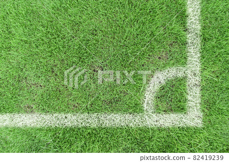 White stripe corner markings on a football field with green grass.  82419239
