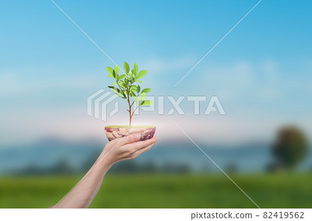 Human hand holding Globe with a tree over green nature background 82419562