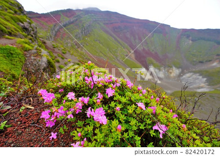 美八火山口和美山霧島 美八火山口和美山霧島 82420172