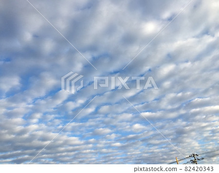 藍雲 82420343