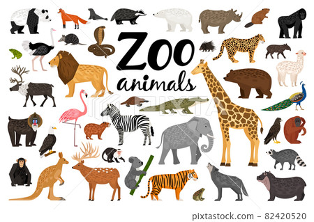 Big Zoo set with different wild animals - Stock Illustration [82420520] -  PIXTA