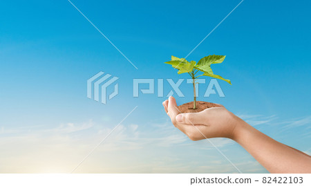 Hand holding tree on sky nature background. Eco earth day concept. Hand holding tree on sky nature background. Eco earth day concept. 82422103