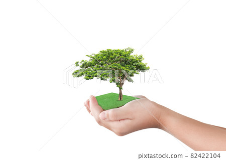Hand holding green grass field with tree isolated on white background. Hand holding green grass field with tree isolated on white background. 82422104