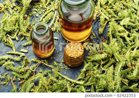 Lycopodium healing herbs Lycopodium healing herbs 82422353