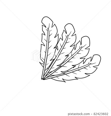 Bird feather. Plumage of flying animal. Decorative element. Bird feather. Plumage of flying animal. Decorative element. 82423602