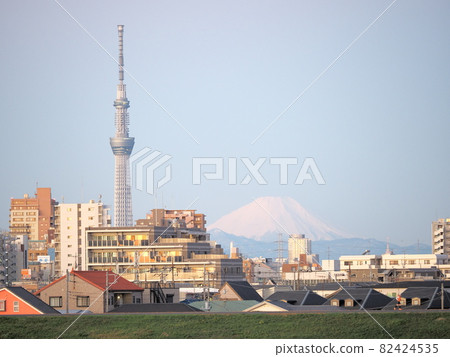 Mt. Fuji and Sky Tree in the early morning Mt. Fuji and Sky Tree in the early morning 82424535