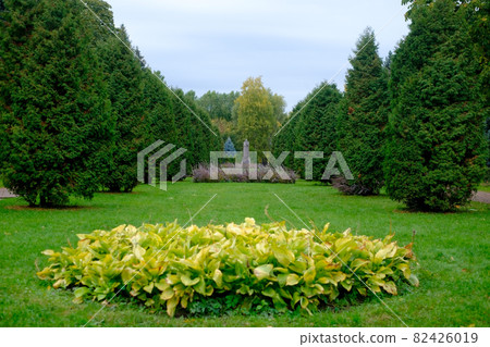 City park in summer day. Park in the historical area of Vasilievsky island in Saint-Petersburg, Russia City park in summer day. Park in the historical area of Vasilievsky island in Saint-Petersburg, Russia 82426019