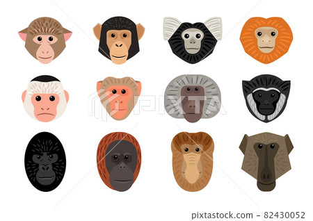 Big cute set of different Monkey heads 82430052