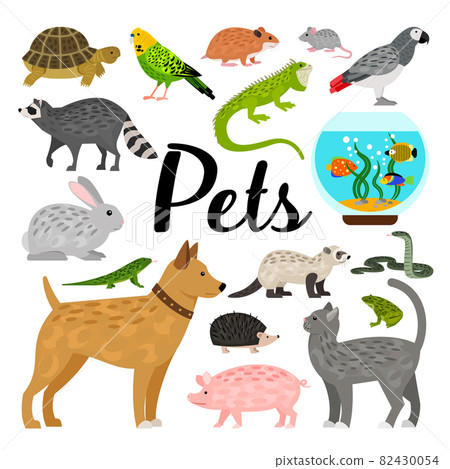 Big nice set of cute different isolated pets 82430054