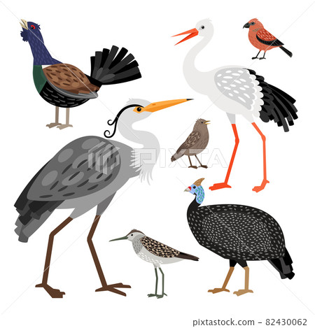 Set of nice different colored wild vector birds 82430062