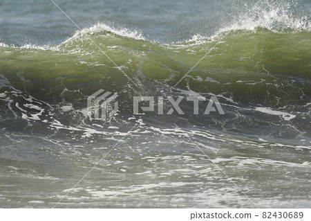 波海移民 波海移民 82430689