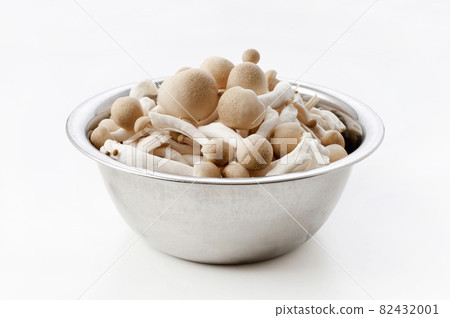 Bunashimeji 82432001