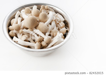 Bunashimeji 82432015